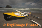 Surf 
                  
 
 
 
 Boats Piha     09     8209